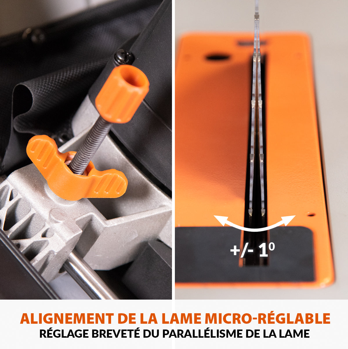 Pack Evolution : Scie sur table Evolution R255TBL 255mm 1650W avec lame multi-matériaux TCT + lame bois supplémentaire
